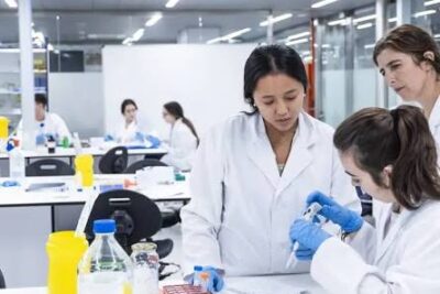 Máster en bioingeniería y biomateriales para aplicaciones clínicas